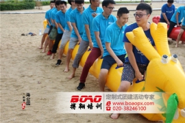 廣州拓展訓練重新喚醒我的斗志